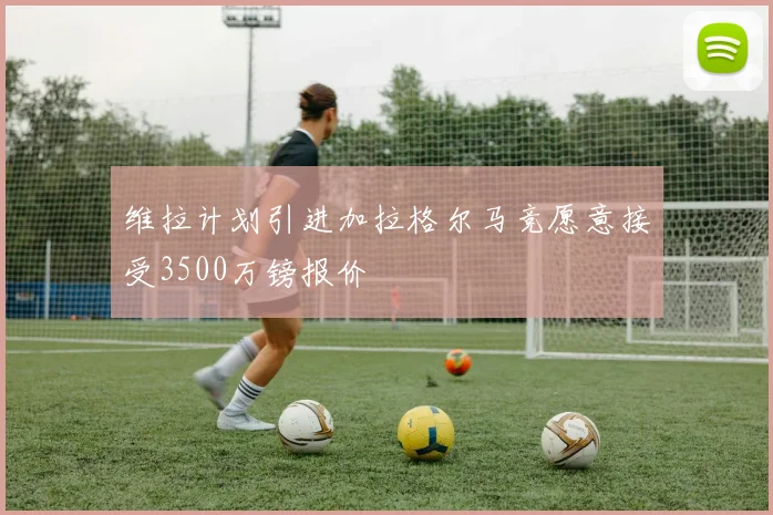 维拉计划引进加拉格尔马竞愿意接受3500万镑报价